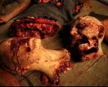thebleeding (11)